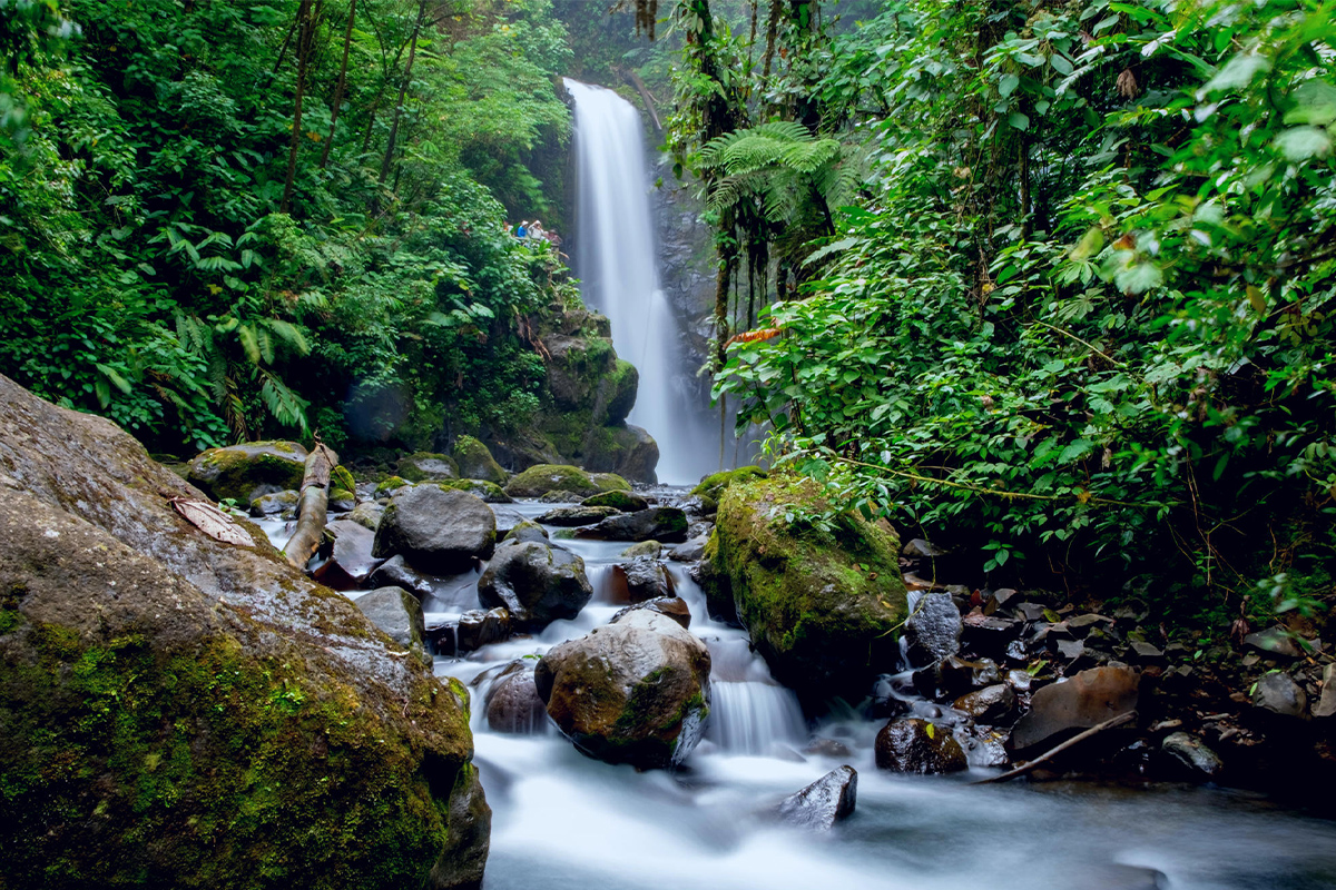 SJ-express-waterfall-copia