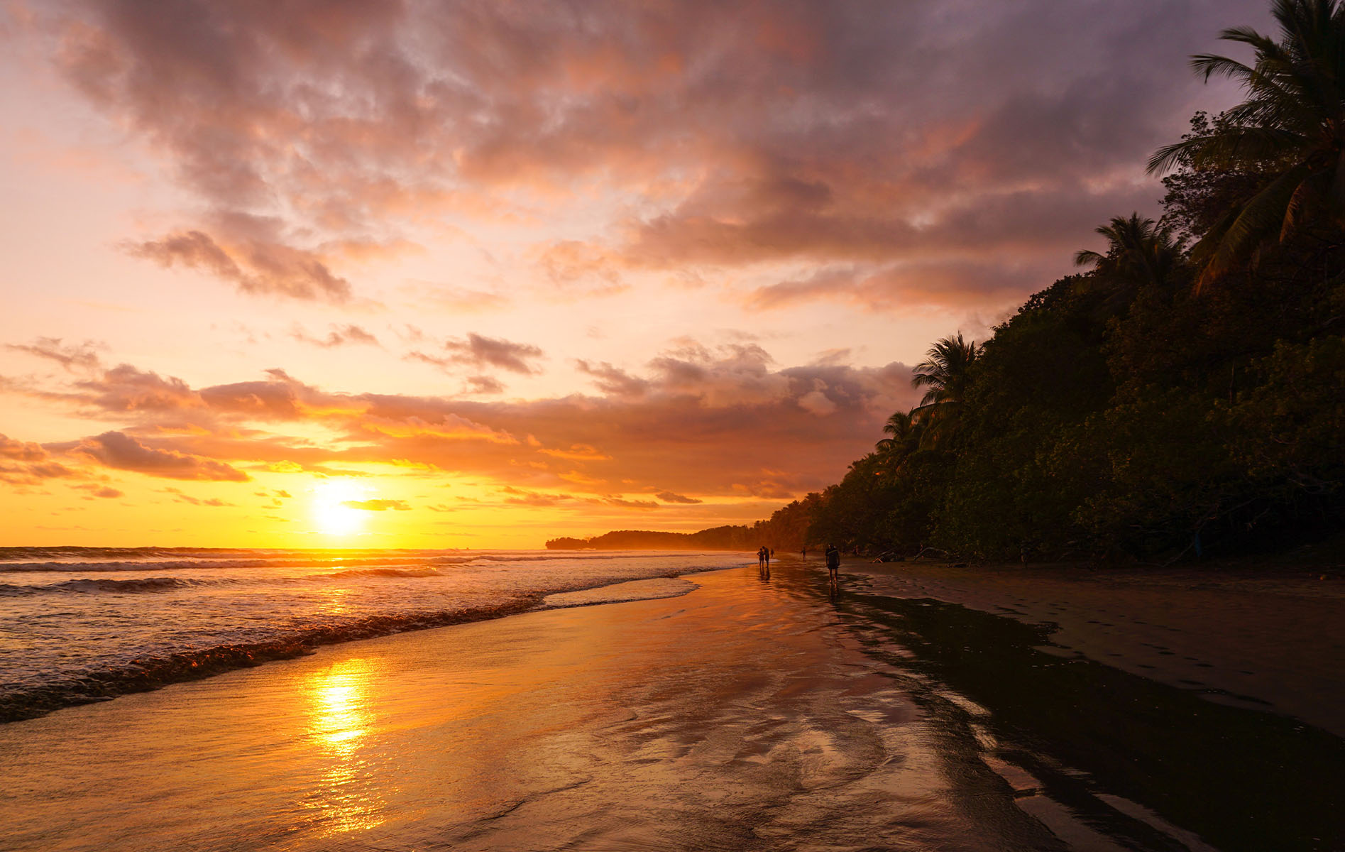 Beauties of Costa Rica