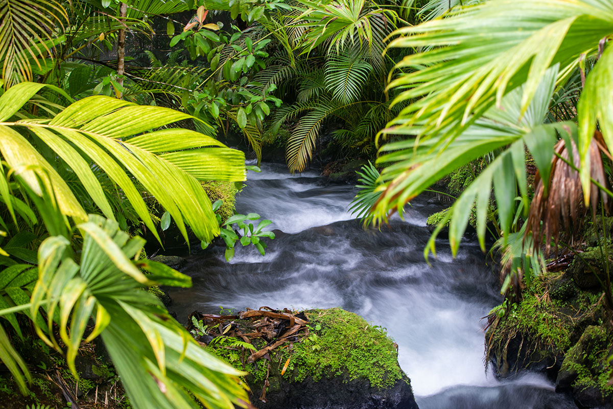 Thermal-water,Pools,And,Non-pumped,(free-flowing),Hot,Spring,Rivers,At,The