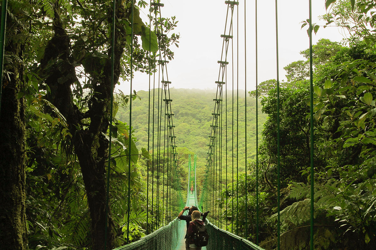 Visitas de un día desde Monteverde