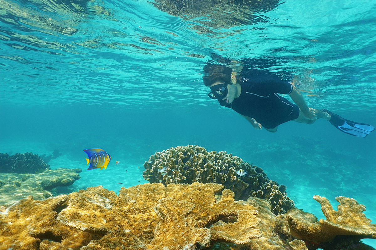 Costa Rica todo incluido