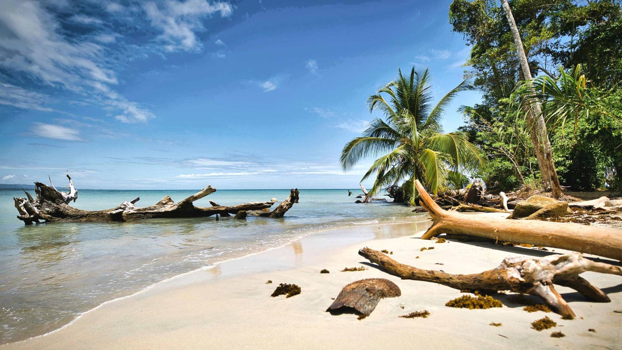 From the Caribbean to the Pacific